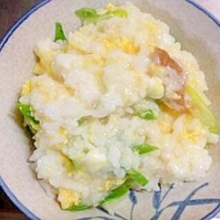 鶏白だしの梅ぞうすい